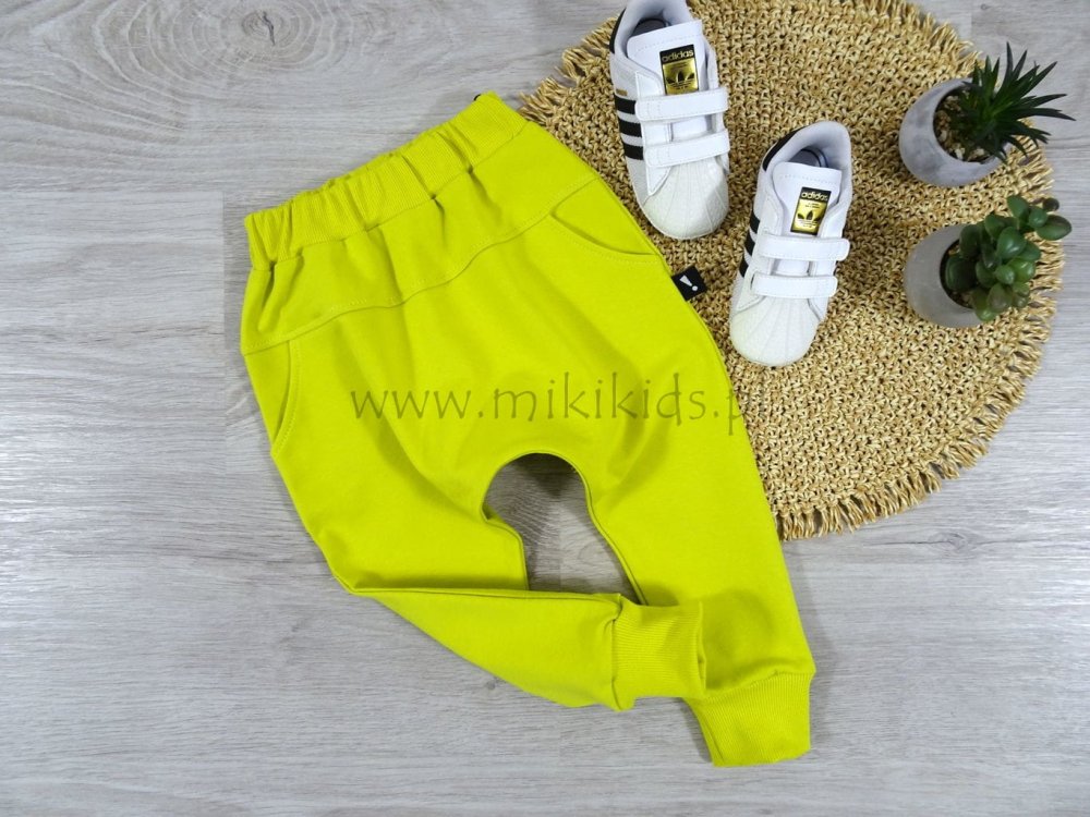 MikiKids920169032024.jpg