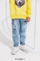 MASHMNIE FEEL THE WILD 100.jpg