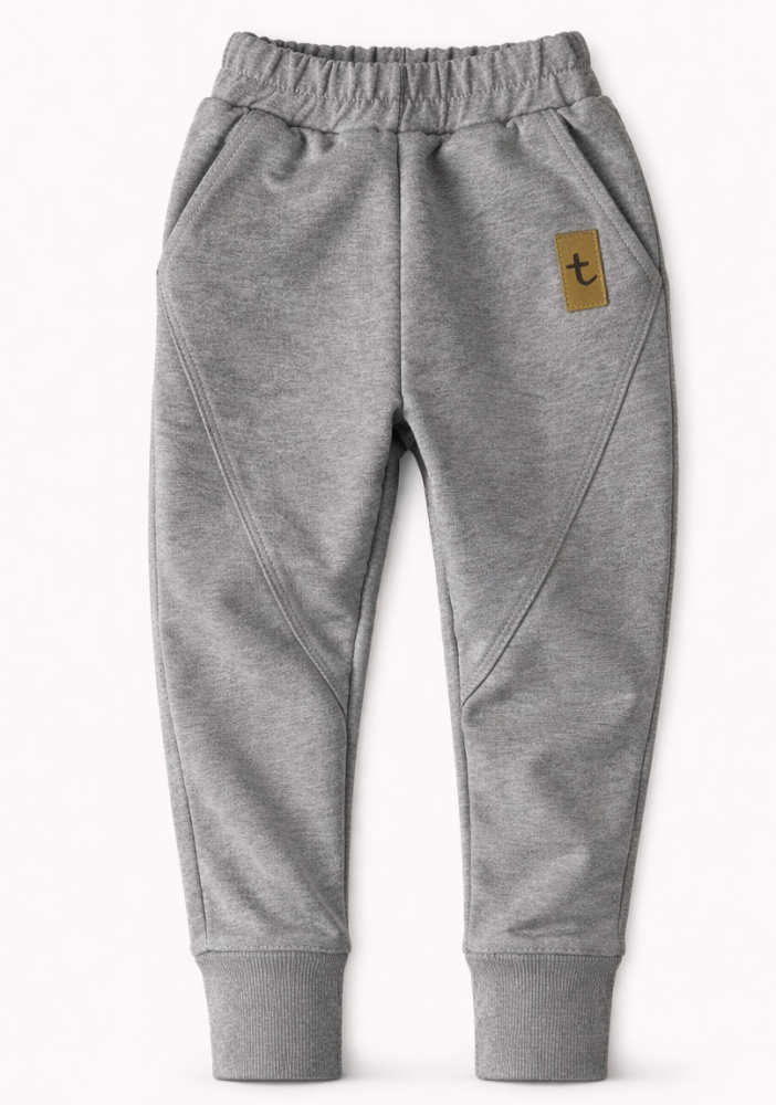 Spodnie dresowe CLASSIC grey / TUSS   