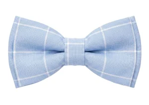 Mucha elegancka / krata błękitna