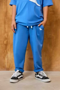 Spodnie dresowe comfort / niebieskie MASHMNIE 