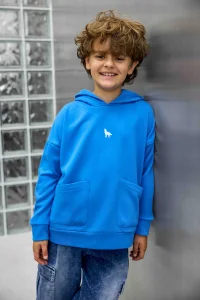 Bluza WOLF z kapturem MASHMNIE / niebieska