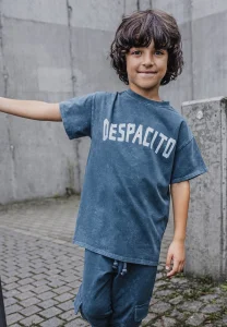 T-shirt dekatyzowany DESPACITO / acid ice grey