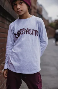 Longsleeve z nadrukiem DESPACITO / szary melanż 